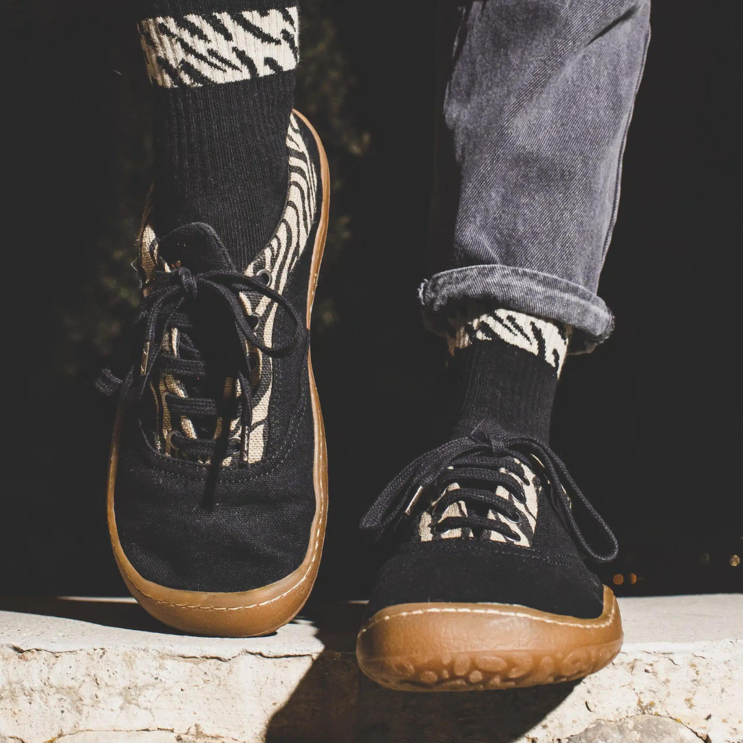 SAMBAS THE BAMBAS BAMBA CEBRA