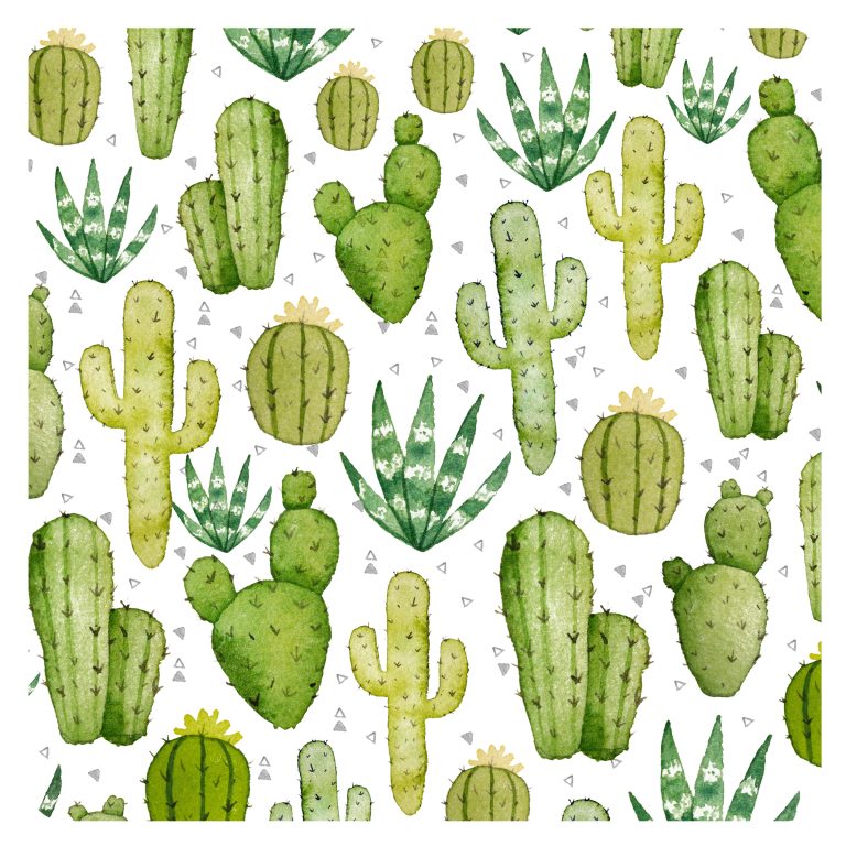 BAPRON BABY BOLSA IMPERMEABLE CACTUS