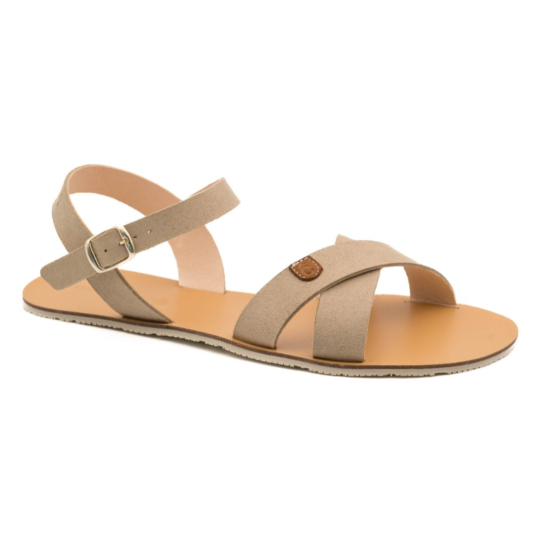 COQUEFLEX TALLAS GRANDES/ADULTO 1558PL SUEDE 15 SALINO
